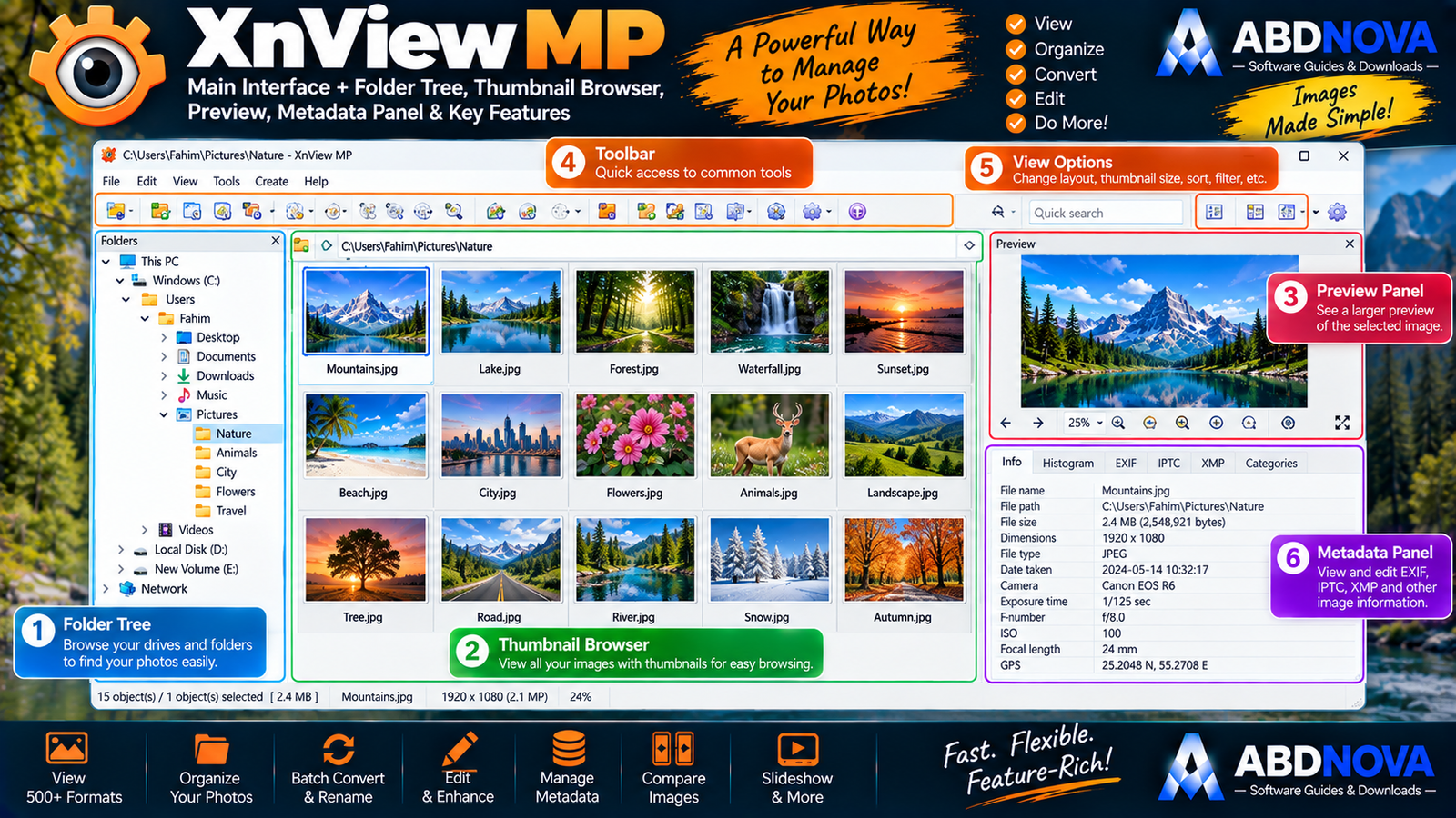 XnView MP Main Interface Folder Tree Thumbnail Browser Preview and Metadata